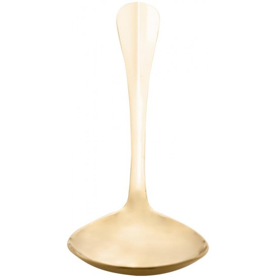 Colher 27,5cm Aço Inox Para Servir Positano Dourada